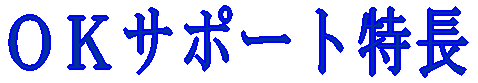 OKサポート特長